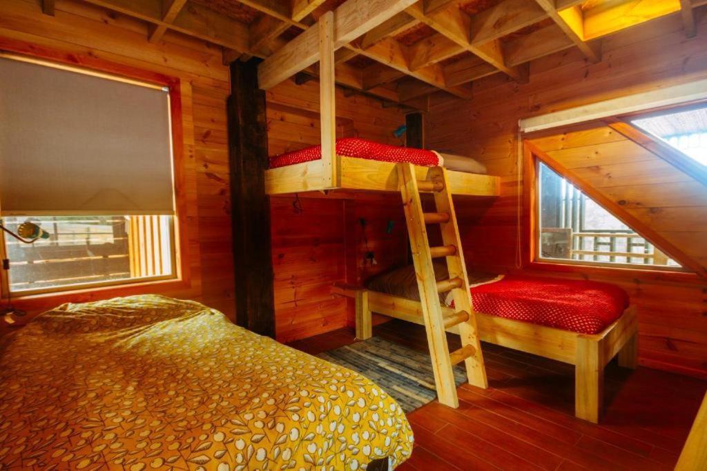 פיצ'ילמו Sirena Insolente Hostel & Suites מראה חיצוני תמונה